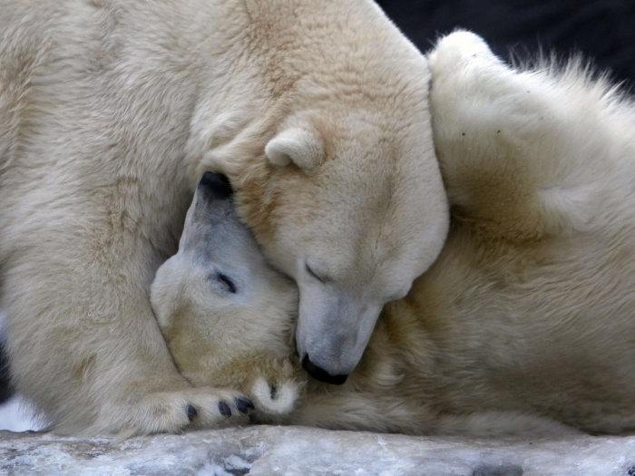 Devocional Diario: Dia 9 de Julho