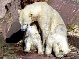 Devocional Diario: Dia 10 de Julho