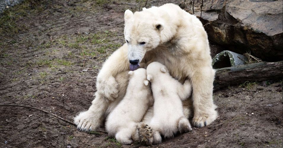 Devocional Diario: Dia 16 de Julho