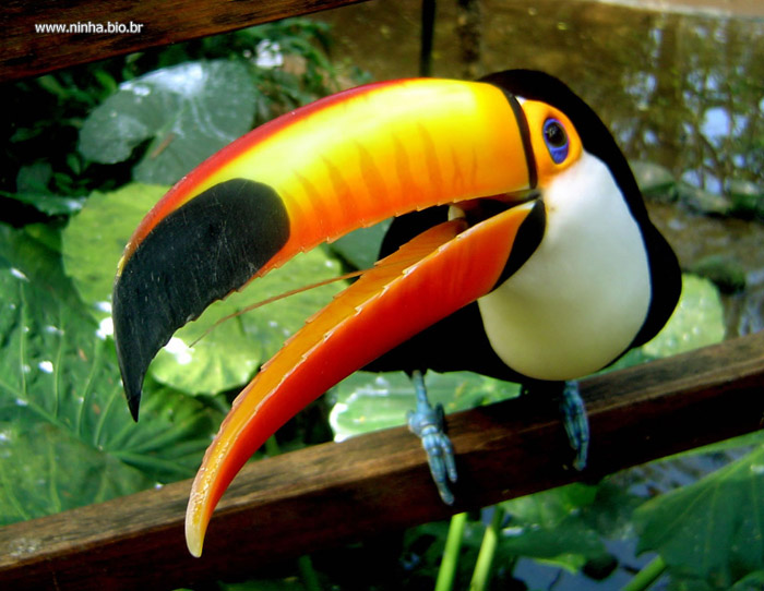 Devocional diario Dia 25 de Agosto