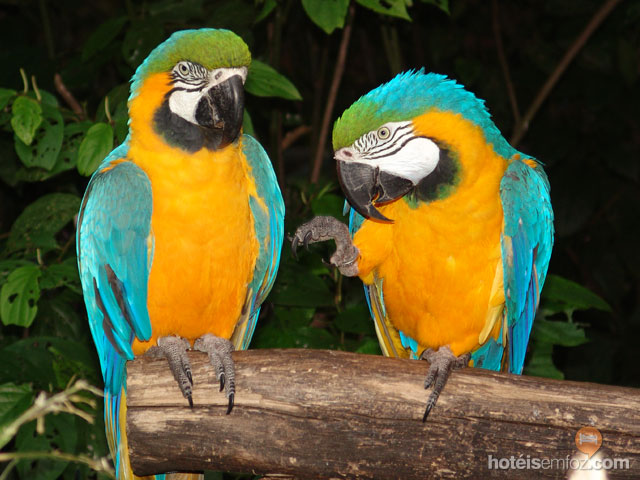 Devocional diario Dia 30 de Agosto