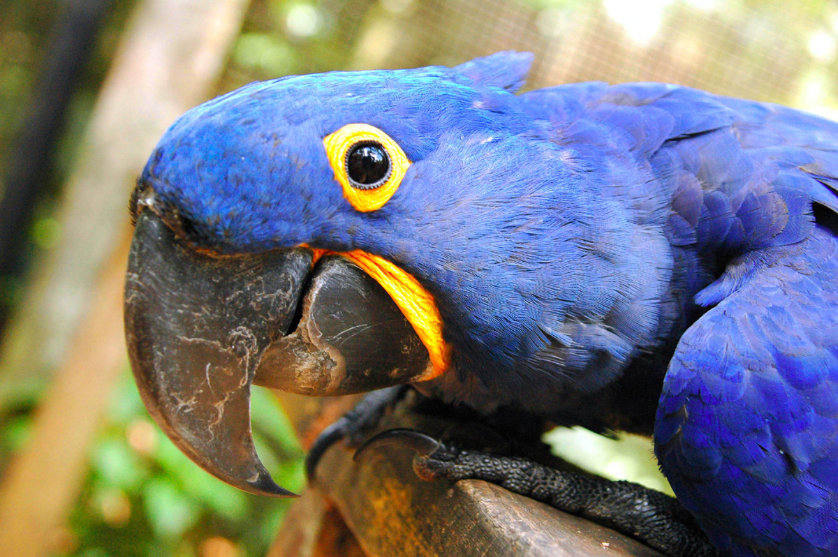 Devocional diario Dia 29 de Agosto